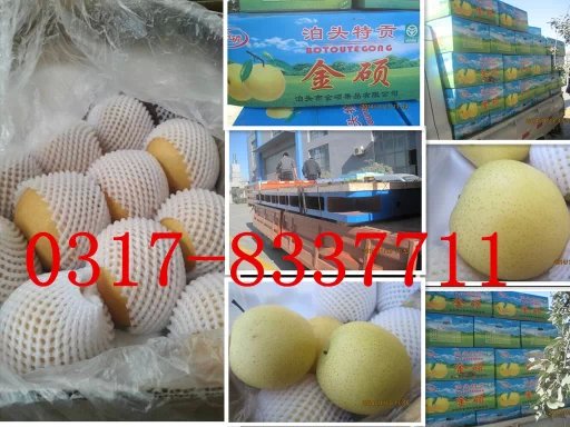 ɽ�|�����͑�ӆ�����T�Fƽ�_��100�䲴�^�����b܇�l؛